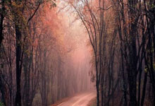 内地首个以机场跑道为主题的路跑在深圳机场举行3-30 17：10.