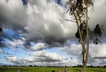 [图]联赛杯-多库努内斯破门 曼城2-1沃特福德晋级.