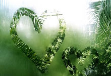 [CBA]六人得分上双 北京男篮战胜吉林男篮.